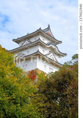 明石城今矢倉 137602946