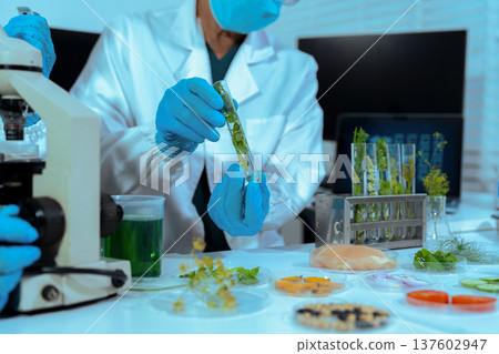 Eco laboratory microbiology. Sample in a Microscope and comparing a plant or herb in test tube or glassware. Natural product and organic cosmetic health care. Eco laboratory microbiology. Sample in a Microscope and comparing a plant or herb in test tube or glassware. Natural product and organic cosmetic health care. 137602947