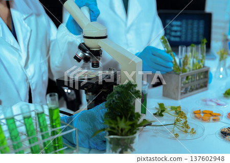 Eco laboratory microbiology. Sample in a Microscope and comparing a plant or herb in test tube or glassware. Natural product and organic cosmetic health care. 137602948