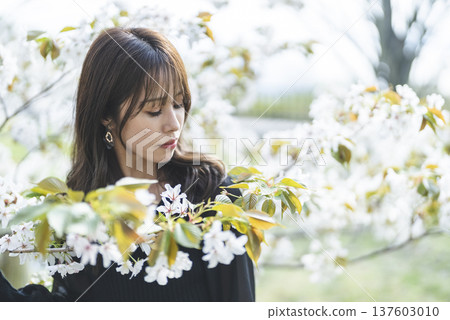 Young woman enjoying flowers Young woman enjoying flowers 137603010