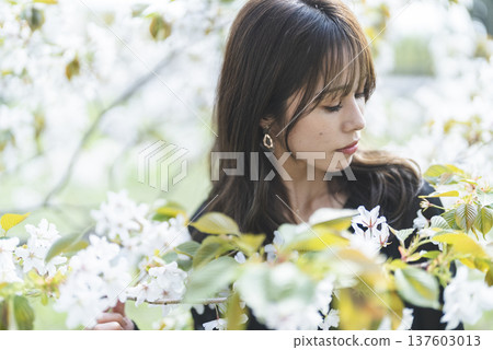 年輕女子正在賞花 137603013