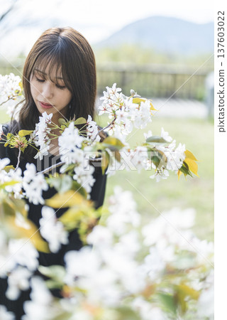 年輕女子正在賞花 137603022