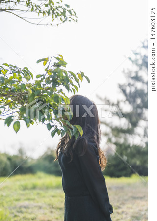 A woman in nature A woman in nature 137603125