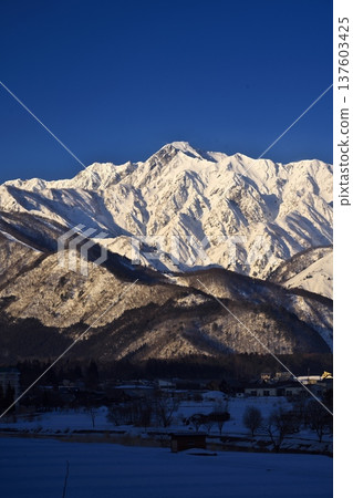 隆冬時節,清晨的陽光灑在白馬村天神坂附近的五龍山上。 隆冬時節,清晨的陽光灑在白馬村天神坂附近的五龍山上。 137603425