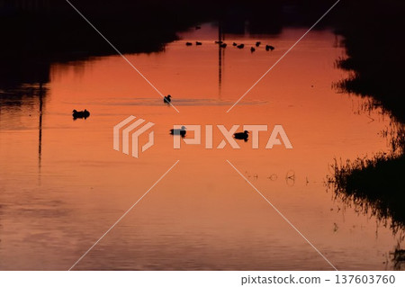 Evening view of Saga Creek 137603760