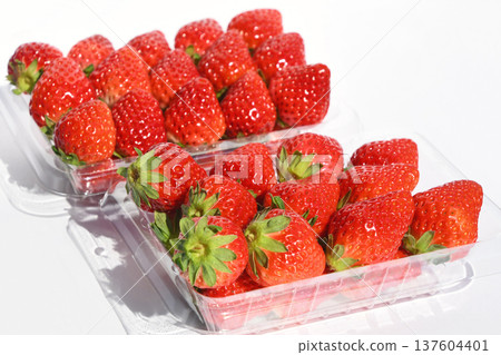 Strawberry (Maruwahime) 137604401