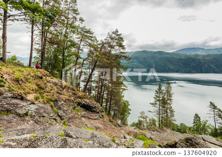 Female tourist enjoy fjord view in Norway Female tourist enjoy fjord view in Norway 137604920