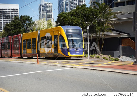 tram, train, gold coast 137605114