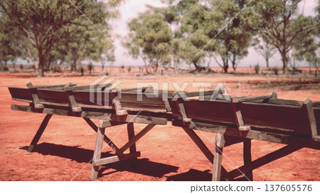 In a peaceful desert landscape, wooden benches sit neatly arranged on red earth under a clear blue sky. Lush green trees provide a beautiful contrast to the warm tones of the ground. In a peaceful desert landscape, wooden benches sit neatly arranged on red earth under a clear blue sky. Lush green trees provide a beautiful contrast to the warm tones of the ground. 137605576