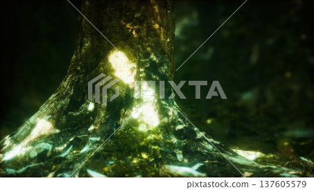 In a magical forest, an ancient tree stands tall with its trunk shimmering in soft, golden light. The surrounding foliage adds to the serene atmosphere, inviting wonder and exploration. 137605579