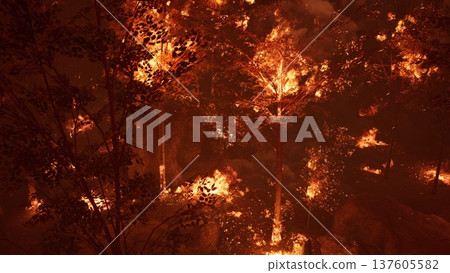 Flames engulf trees in a dense forest, illuminating the darkness. This scene showcases the destructive power of fire and the haunting beauty of nature under siege. Flames engulf trees in a dense forest, illuminating the darkness. This scene showcases the destructive power of fire and the haunting beauty of nature under siege. 137605582