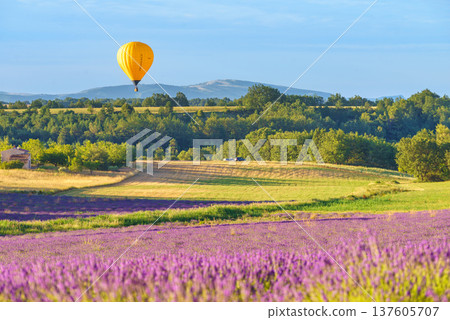 Hot air balloon flying in sky. Provence in France. Tourism and adventure concept. Hot air balloon flying in sky. Provence in France. Tourism and adventure concept. 137605707