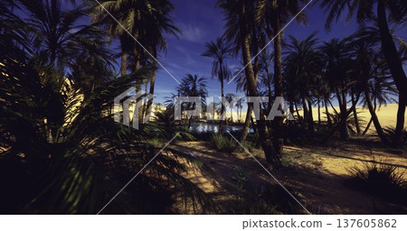 dusk palm oasis by lagoon, deep blue sky and calm reflection, long shadows cast by tall trunks, tranquil atmosphere with textured sand and silhouetted fronds, 137605862