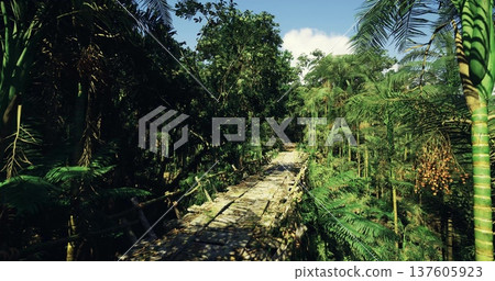 Pathway through jungle with equipment footprints, Access trail through dense tropical woods displaying equipment and canopy openings for ecological study Pathway through jungle with equipment footprints, Access trail through dense tropical woods displaying equipment and canopy openings for ecological study 137605923