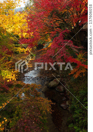 Autumn in Asakura City, Fukuoka Prefecture: Autumn leaves in Akizuki Castle Town Autumn in Asakura City, Fukuoka Prefecture: Autumn leaves in Akizuki Castle Town 137606058
