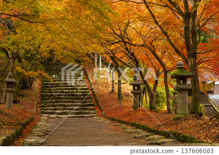 Autumn in Asakura City, Fukuoka Prefecture: Autumn leaves in Akizuki Castle Town and Akizuki Castle Ruins Autumn in Asakura City, Fukuoka Prefecture: Autumn leaves in Akizuki Castle Town and Akizuki Castle Ruins 137606083