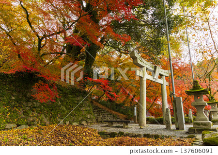 Autumn in Asakura City, Fukuoka Prefecture: Autumn leaves in Akizuki Castle Town and Akizuki Castle Ruins Autumn in Asakura City, Fukuoka Prefecture: Autumn leaves in Akizuki Castle Town and Akizuki Castle Ruins 137606091