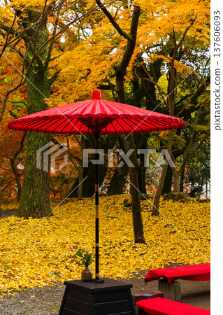 福岡縣朝倉市的秋天:秋月城下町和秋月城遺址的秋葉 福岡縣朝倉市的秋天:秋月城下町和秋月城遺址的秋葉 137606093