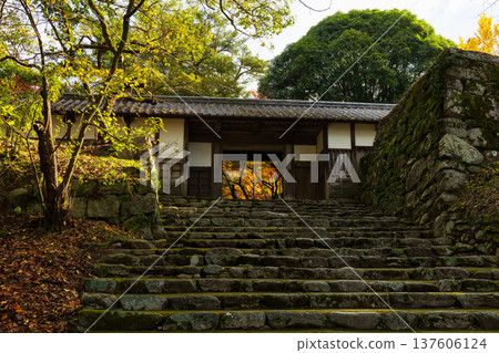 福岡縣朝倉市的秋天 - 秋月城下町的秋葉 - 秋月城遺址（長屋門） 137606124