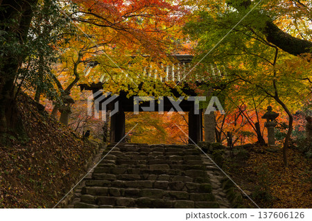 福岡縣朝倉市的秋天：秋月城下町的秋葉，秋月城遺址（黑門） 137606126