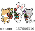 Dog, cat and rabbit trio holding potted tulips 137606310