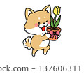 A dog holding a potted tulip 137606311