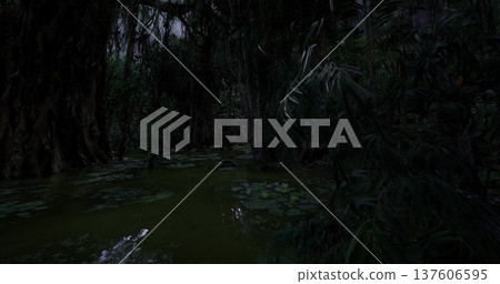Dark swamp set with dramatic silhouettes and low moody lighting, deep shadows and reflective water create cinematic tension, textured moss and dripping branches Dark swamp set with dramatic silhouettes and low moody lighting, deep shadows and reflective water create cinematic tension, textured moss and dripping branches 137606595