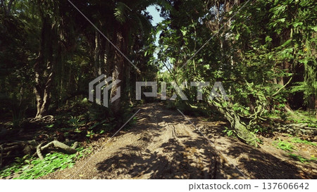 narrow overgrown trail under emergent trees, thick understory and towering trunks, tangled vines and filtered sunlight, sense of discovery for explorers narrow overgrown trail under emergent trees, thick understory and towering trunks, tangled vines and filtered sunlight, sense of discovery for explorers 137606642