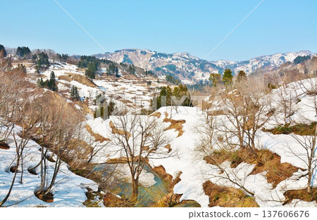 Yamakoshi米露台景觀與早春降雪 137606676