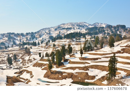 Yamakoshi米露台景觀與早春降雪 Yamakoshi米露台景觀與早春降雪 137606678