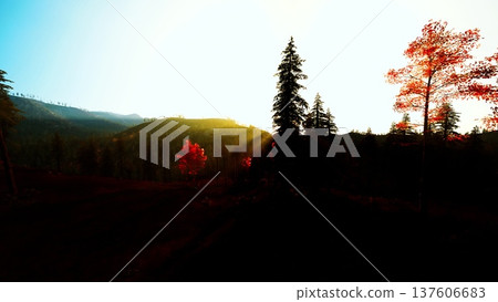 Golden sunrise over pine forest, cinematic warm glow fills valley with soft mist and long sun rays, tree silhouettes and distant hills create tranquil autumn Golden sunrise over pine forest, cinematic warm glow fills valley with soft mist and long sun rays, tree silhouettes and distant hills create tranquil autumn 137606683