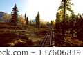 sunrise railroad tracks through autumn forest, warm light casting long shadows across rails and fallen leaves, pine trees lining rustic corridor, ideal backdrop 137606839