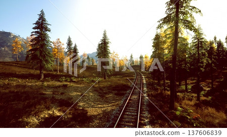 sunrise railroad tracks through autumn forest, warm light casting long shadows across rails and fallen leaves, pine trees lining rustic corridor, ideal backdrop 137606839