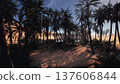 dusky palm grove with long shadows, sandy trail winding through dense undergrowth toward distant orange sunset over calm oasis water, moody cinematic 137606844