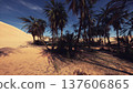 sunlit desert oasis with palm grove casting long shadows across golden sand under deep blue sky, cinematic golden hour lighting, quiet refuge among towering 137606865