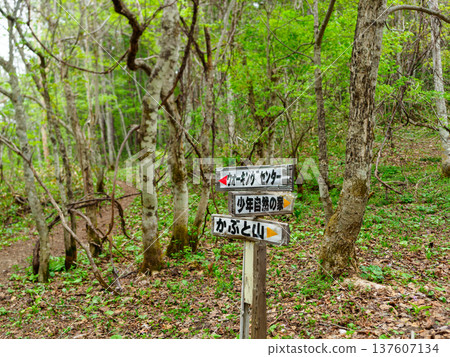 A sign on the hiking trail to Mt. Kabuto Myojin A sign on the hiking trail to Mt. Kabuto Myojin 137607134