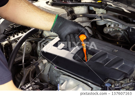 Manual Engine Oil Check, A mechanic's gloved hand pulls the oil dipstick Manual Engine Oil Check, A mechanic's gloved hand pulls the oil dipstick 137607163