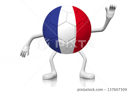 Cartoon soccer ball with national flag of France - 3D illustration Cartoon soccer ball with national flag of France - 3D illustration 137607309