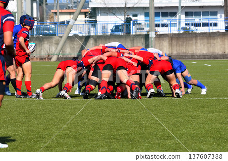 橄欖球，高中橄欖球 137607388