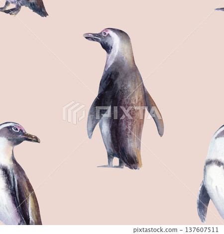 African Jackass Penguin in seamless pattern,Endangered Spectacled Bird of South African and Namibian Coastlines.Hand drawn watercolor illustration,call to preserve an endangered species African Jackass Penguin in seamless pattern,Endangered Spectacled Bird of South African and Namibian Coastlines.Hand drawn watercolor illustration,call to preserve an endangered species 137607511