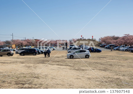 位於美納戈梅樹林 Zenchi Plum Grove 廣場的停車場 位於美納戈梅樹林 Zenchi Plum Grove 廣場的停車場 137607548