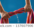 Close up of hands wringing water out of a wet striped beach towel with a splash and dripping liquid 137607906