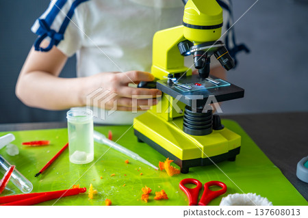 Close up of girl hands adjusting microscope during crystal examination at home laboratory table. Practical scientific work and hands on STEM education through detailed observation process. 137608013