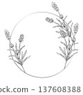 Black and white line art illustration of lavender branches forming round frame. Detailed outline botanical drawing in elegant vector style for natural branding, packaging, print design. 137608388