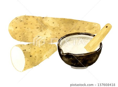 研缽中盛放著磨碎的山藥和中國山藥。手繪水彩插圖 137608418