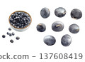 Watercolor illustration of dried black beans - Tanba black beans 137608419