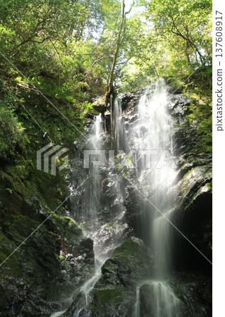 Kuya's waterfall 137608917