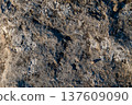 Close-up view of textured rocky surface with visible dirt, stones, and natural patterns under sunlight, showcasing geological features and earthy tones 137609090