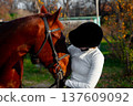 Female equestrian in white long-sleeve shirt and black riding hat gently interacts with chestnut horse in a green outdoor setting with trees and blurred background 137609092