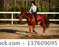 Female equestrian in black riding hat and white shirt rides chestnut horse with red saddle pad in outdoor arena surrounded by greenery and wooden fence 137609095